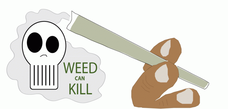The+Dark+Side+of+Marijuana+Legalization+Explored