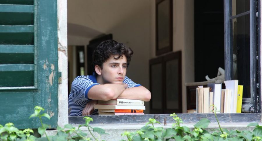 Call Me Impressed! Call Me By Your Name reaches the pinnacle of beauty