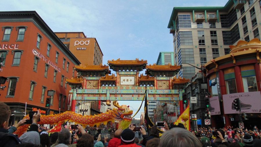 Celebrating the Year of the Pig in DC