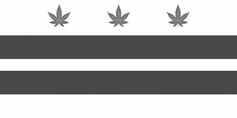 DCPS+to+allow+Medical+Marijuana