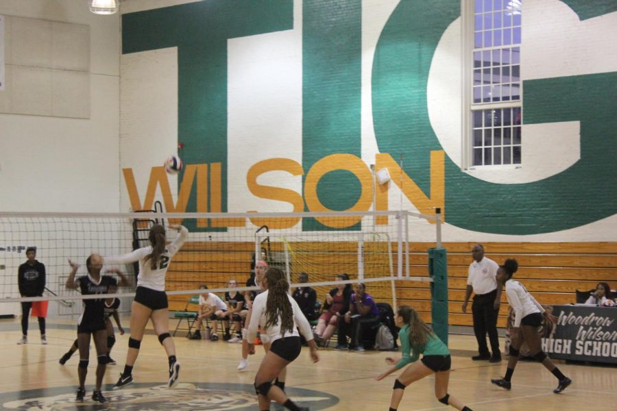 Volleyball team loses state title following successful season