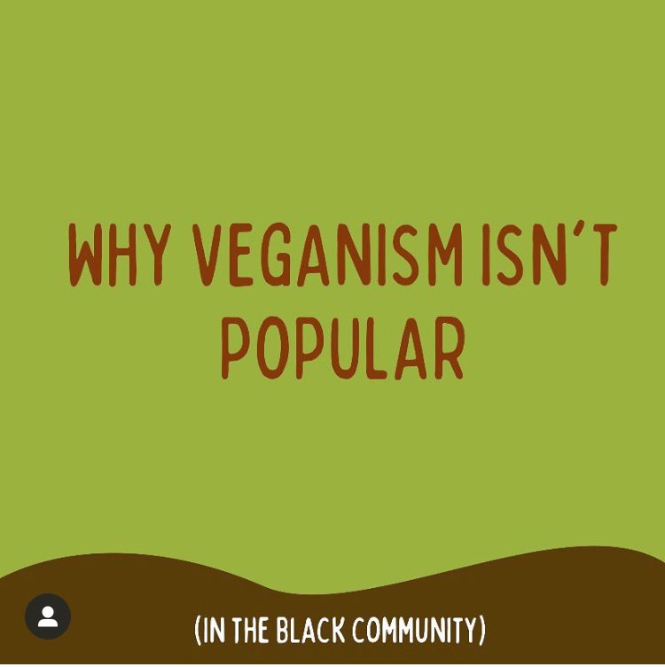 Living on the veg: Wilson Alumni shares thoughts on veganism