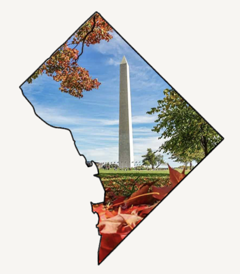 A guide to fall in DC