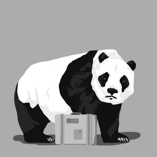 El retorno de las pandas